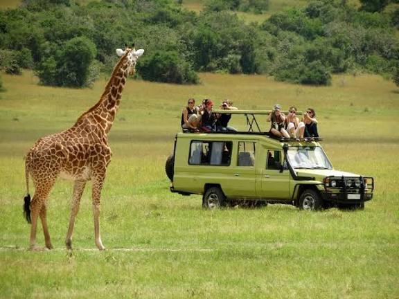 Arusha NP