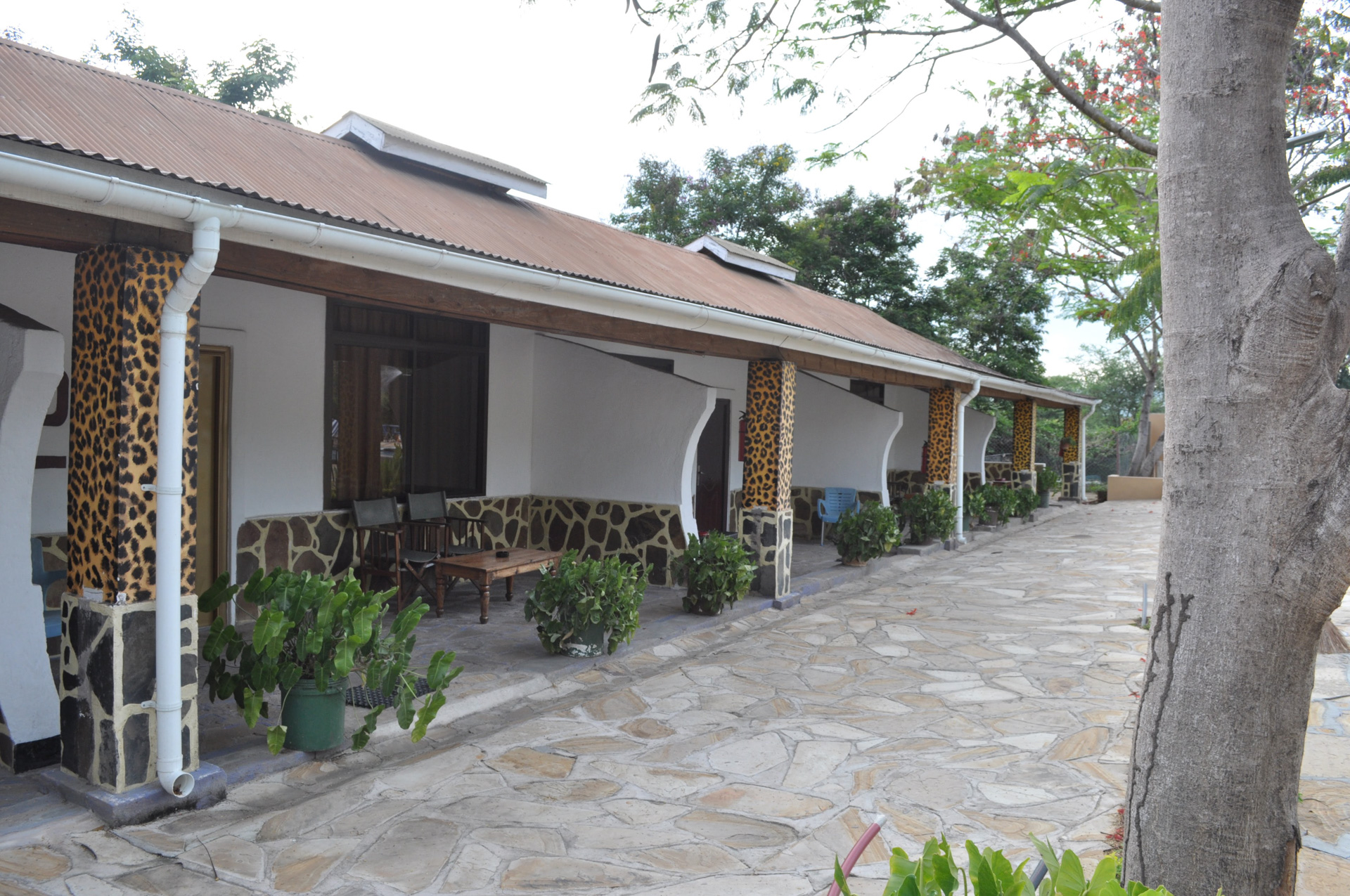 Tan Swiss Lodge
