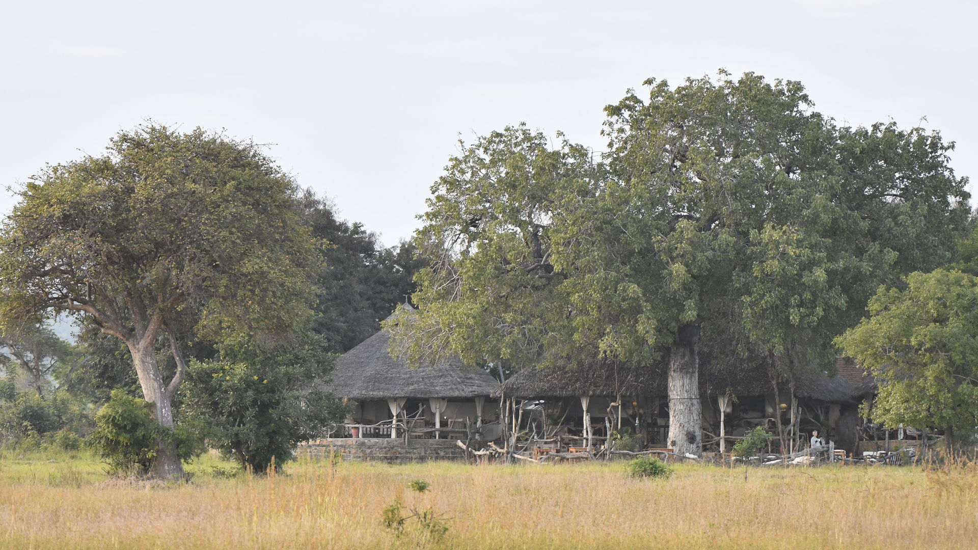 Mikumi Wildlife Camp