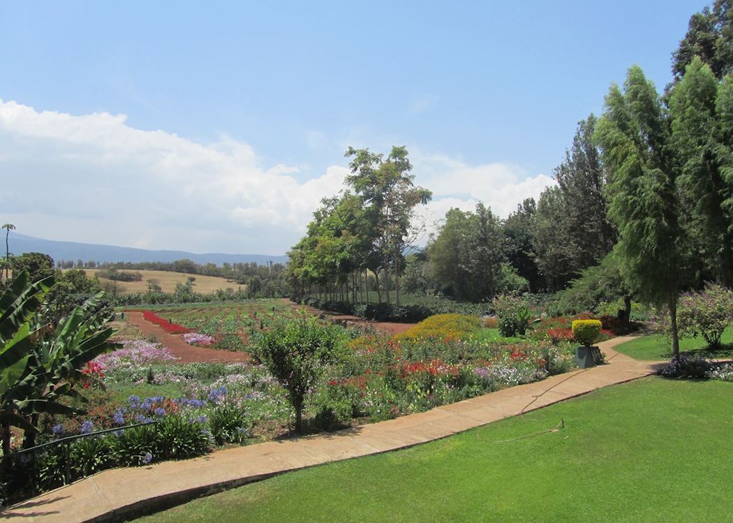 Ngorongoro Farm House