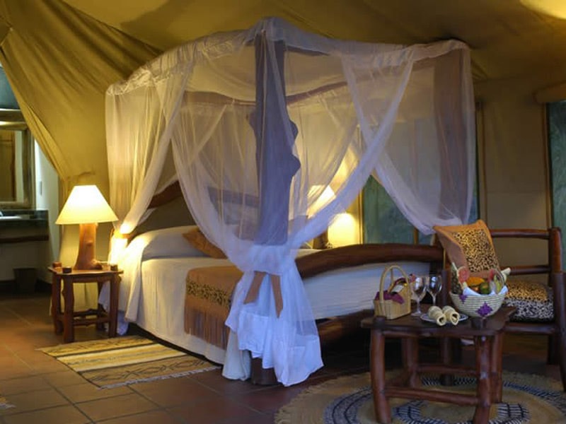 Serengeti Luxury Camp