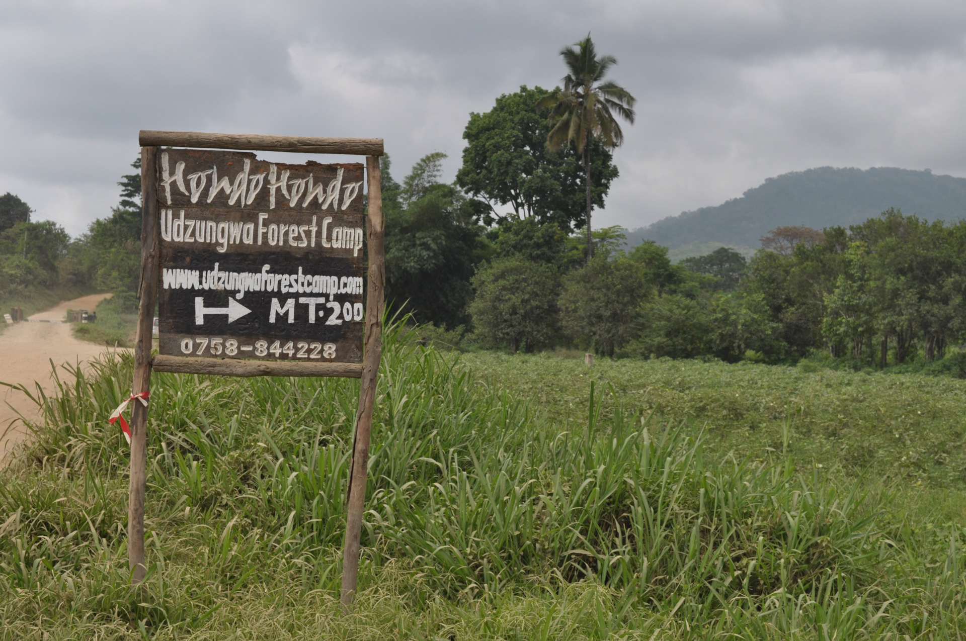 Udzungwa Forest Camp