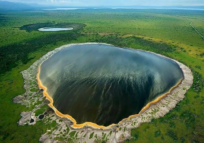 Ngorongoro Crater Safari