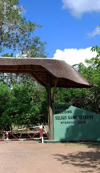 Nyerere National Park