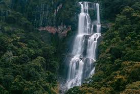 Udzungwa Mountains